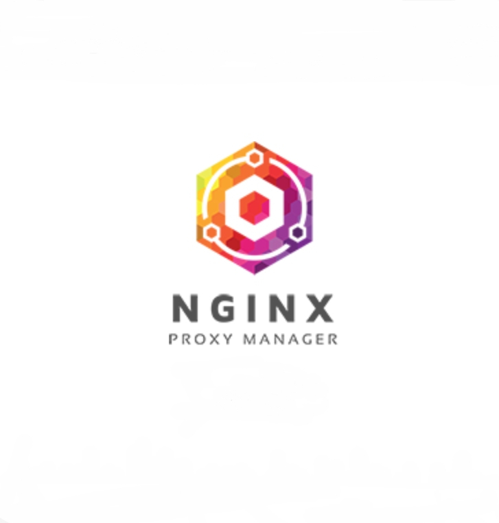 安装 Nginx Proxy Manager